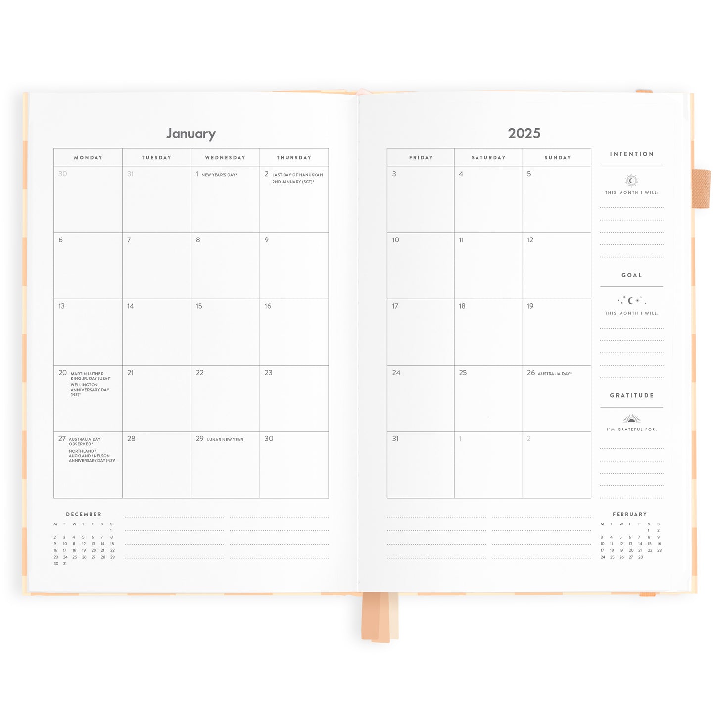 Fox & Fallow 2025 A5 Horizontal Planner - Salmon Check