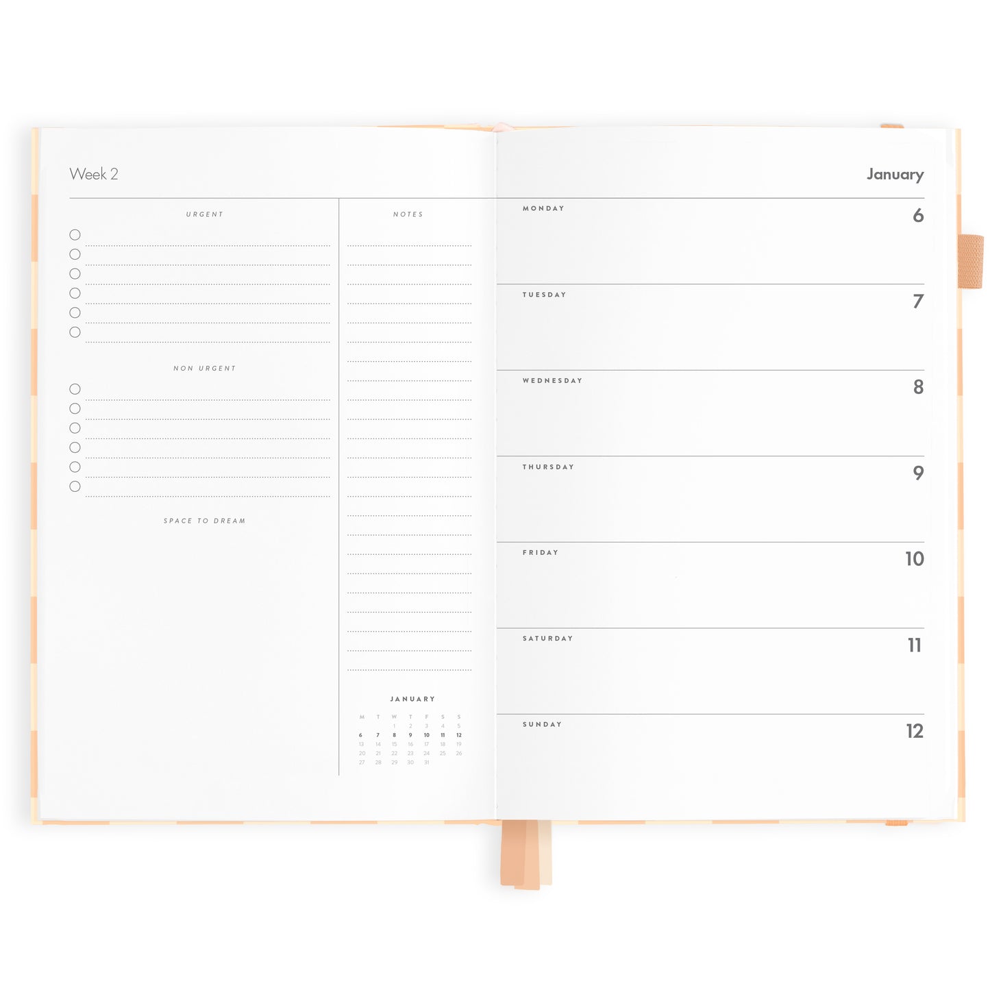 Fox & Fallow 2025 A5 Horizontal Planner - Salmon Check