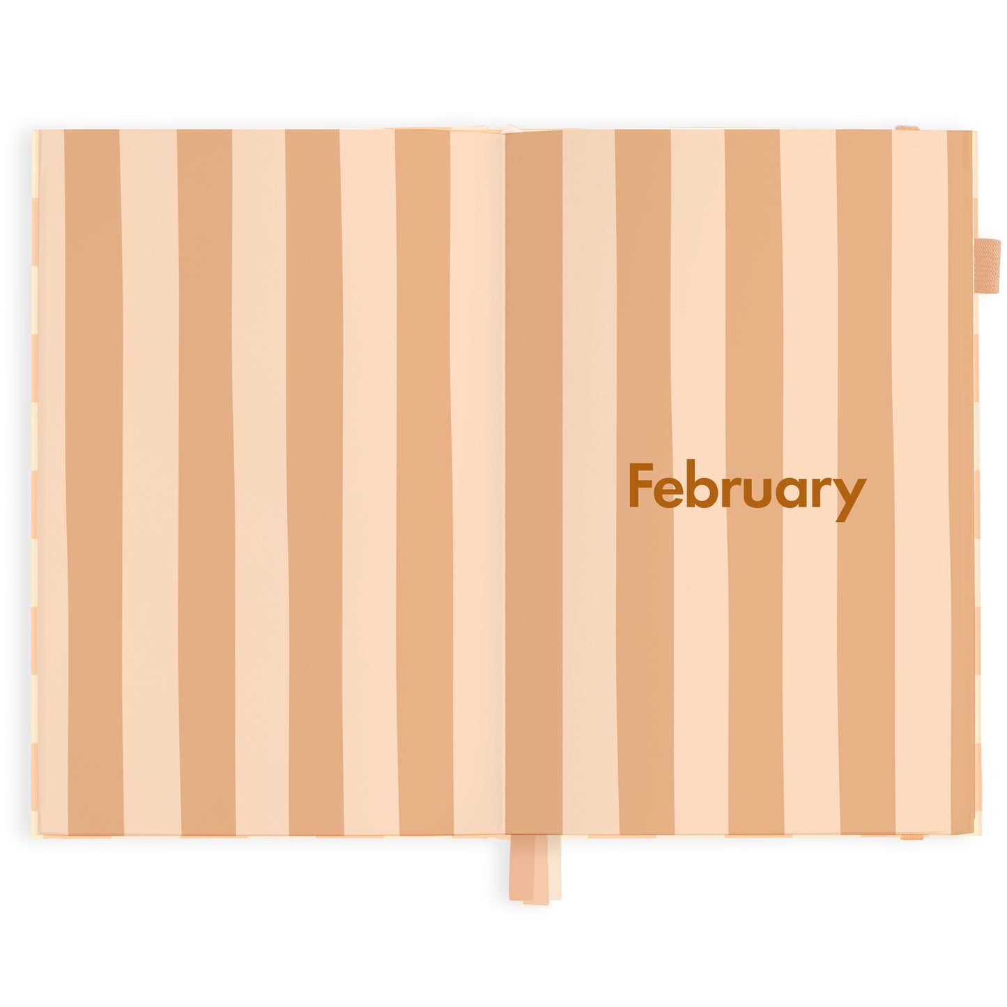 Fox & Fallow 2025 A5 Horizontal Planner - Salmon Check